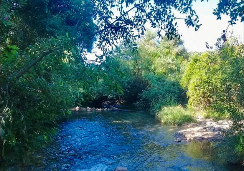 Alto De Torrecillas El Bosque Esterno foto